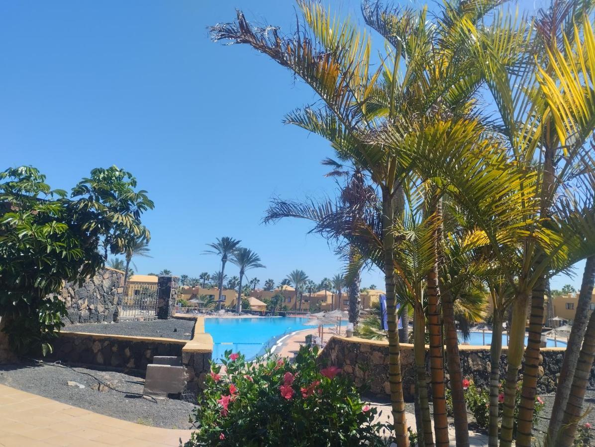 Casa Mona Leilighet Corralejo Eksteriør bilde